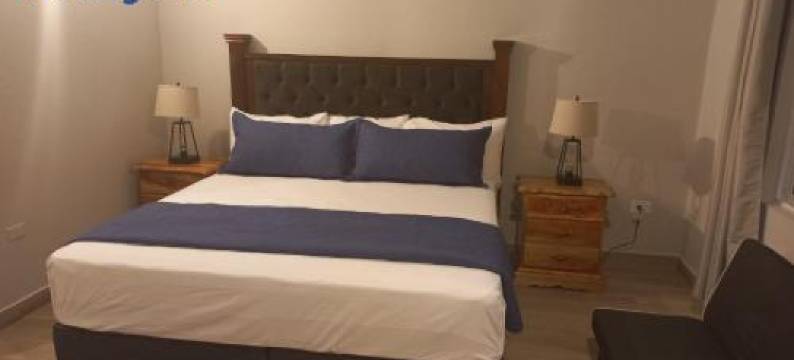 海滩20公寓(Beach Studio 20)图片