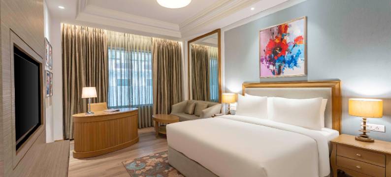 柏悦广场贾朗达尔(Park Plaza Jalandhar)图片