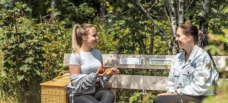蒂蒂湖Saigerhöh健康水疗酒店(Hotel Saigerhöh Wellness Spa Golf Wandern über Dem Titisee)图片