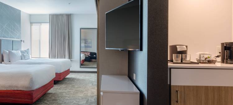 哥伦比亚SpringHill Suites酒店(SpringHill Suites Columbia)图片