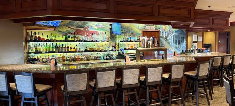 华盛顿杜勒斯国际机场希尔顿酒店(DoubleTree by Hilton Washington Dulles Airport)图片