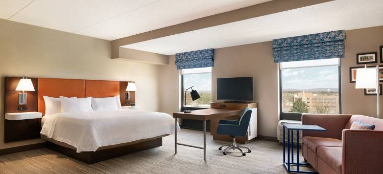 希尔顿欢朋套房酒店-埃夫拉塔(Hampton Inn & Suites Ephrata - Mountain Springs)图片