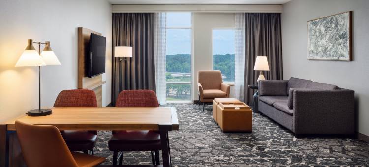 希尔顿安泊欢朋酒店及会议中心(Embassy Suites by Hilton Hampton Convention Center)图片