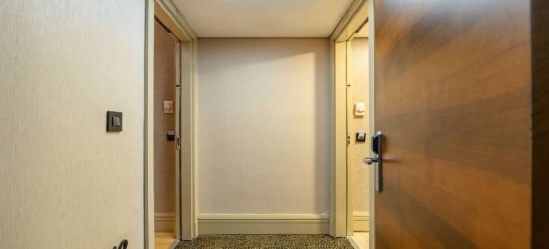 伊斯坦布尔大巴扎华美达酒店(Ramada by Wyndham Istanbul Grand Bazaar)图片