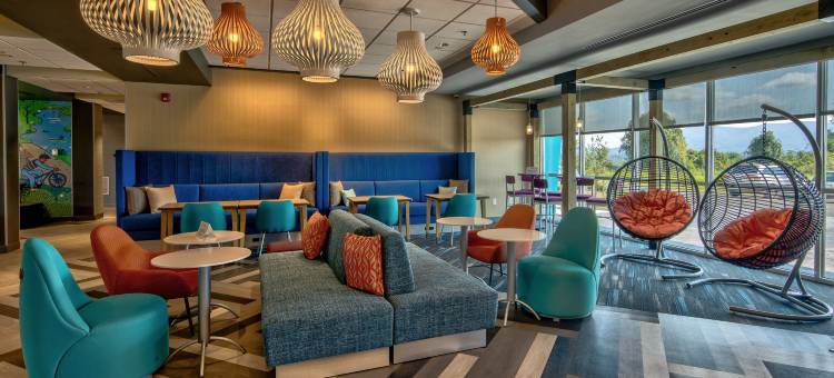 罗诺克霍林斯希尔顿Tru酒店(Tru by Hilton Roanoke Hollins)图片