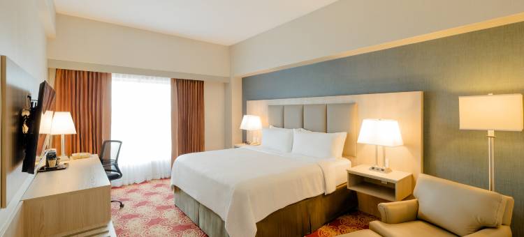 马那瓜湖假日酒店会议中心(Holiday Inn Managua - Convention Center)图片