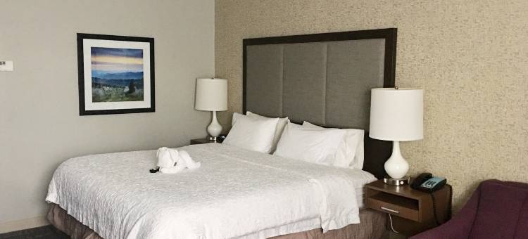 希尔顿欢朋酒店-赛维尔维尔(Hampton Inn Sevierville)图片