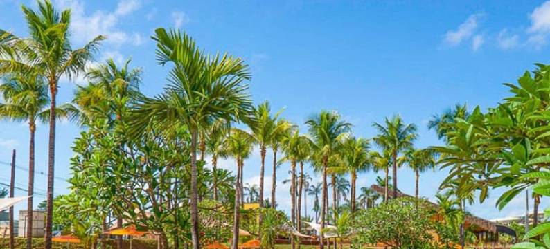 热海雷泽斯(温泉公园)(Hot Beach Raízes Antigo Thermas Park)图片