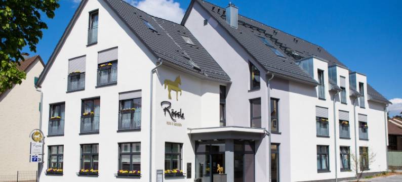 金色弗拉格餐厅酒店(Hotel & Restaurant Goldener Pflug)图片