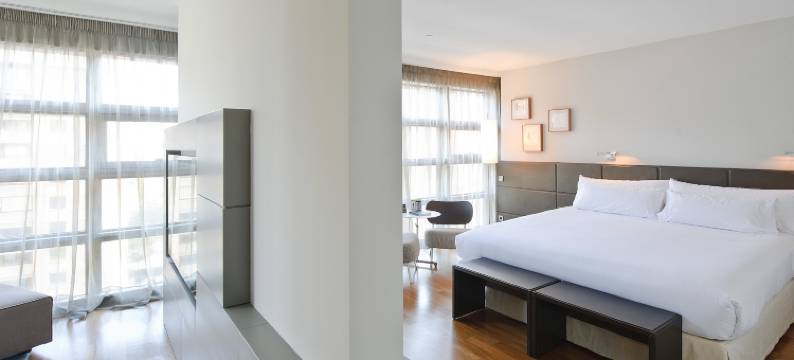 佩德罗尼拉女王酒店(Hotel Reina Petronila)图片