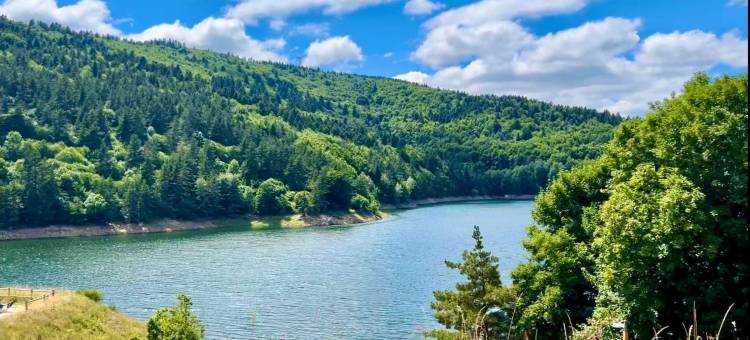 拉文生(Hôtel Restaurant la Renaissance)图片