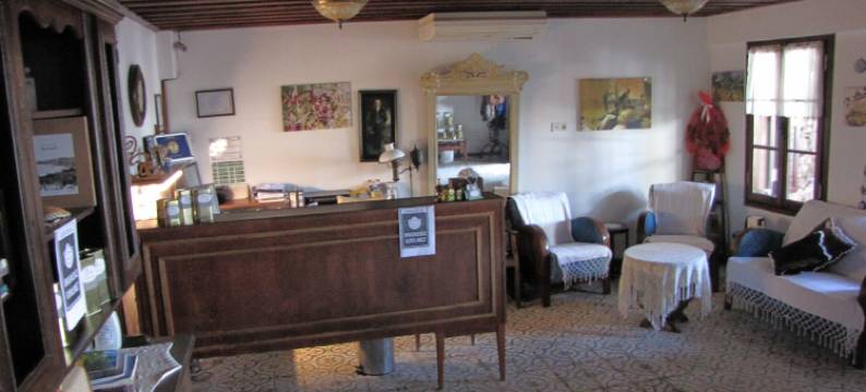 阿里叶哈尼姆酒店(Aliye Hanim Hotel)图片