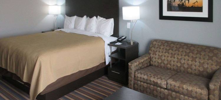 奥德萨I-20 美茵斯坦套房酒店(MainStay Suites Odessa I-20)图片