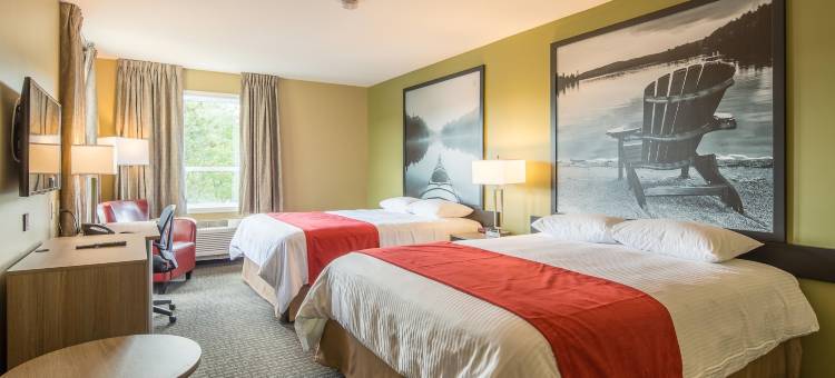 蒙洛里耶温德姆速8酒店(Super 8 by Wyndham Mont Laurier)图片