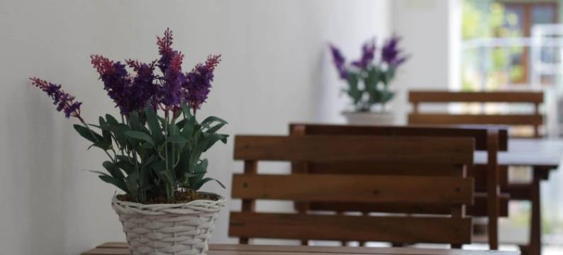 艾丽克林姆酒店(Elicrim)图片