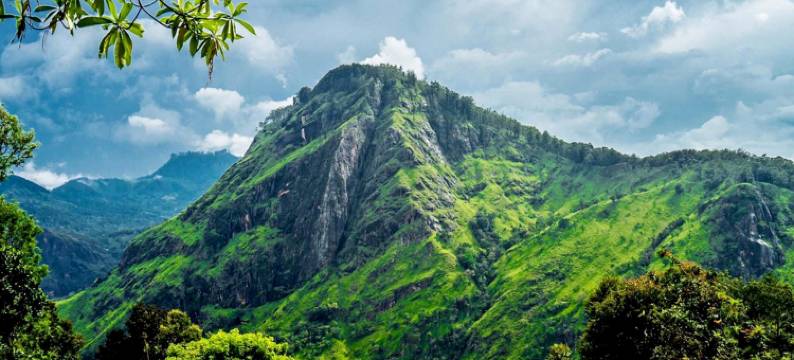 埃勒追梦人度假村(Ella Dream Catcher Resort)图片