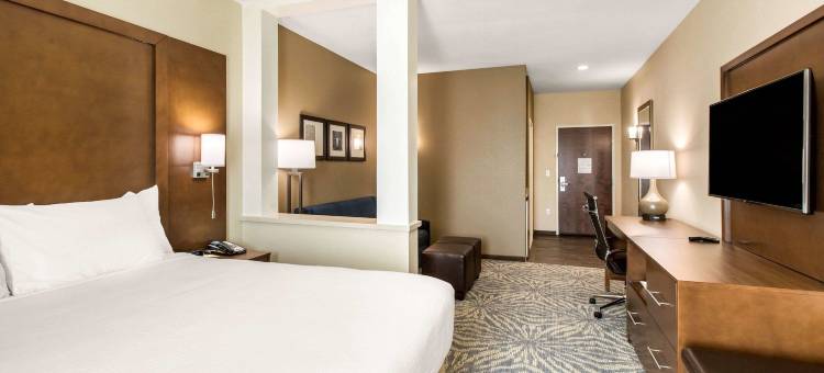 南奥斯汀舒适套房酒店(Comfort Suites - South Austin)图片