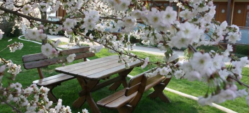 洛克尔和莱杰尔酒店(Hotel Locker & Legere - Self Check-in am Wochenende)图片