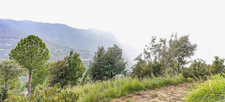 Treebo 奥姆别墅带山景(Hotel Om Villa with Valley View, 6Kms from Mukteshwar Dham)图片