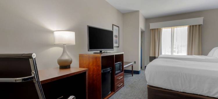 亚特兰大南斯托克布里奇舒适套房酒店(Comfort Suites Stockbridge Atlanta South)图片