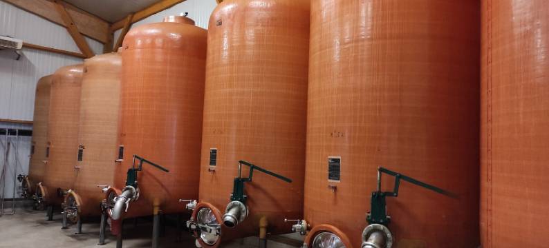 里维耶尔公寓(Le Logis du Livier)图片