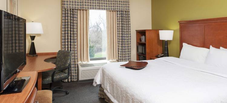 希尔顿欢朋酒店-杰克逊维尔(Hampton Inn Jacksonville)图片