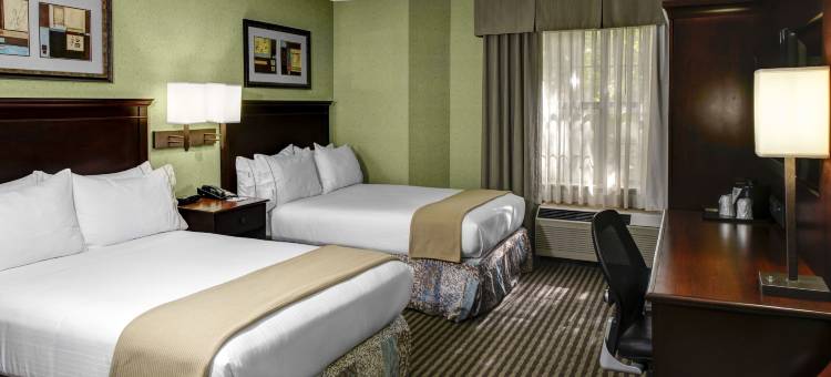 亚特兰大巴克黑德智选假日套房酒店(Holiday Inn Express & Suites Atlanta Buckhead)图片