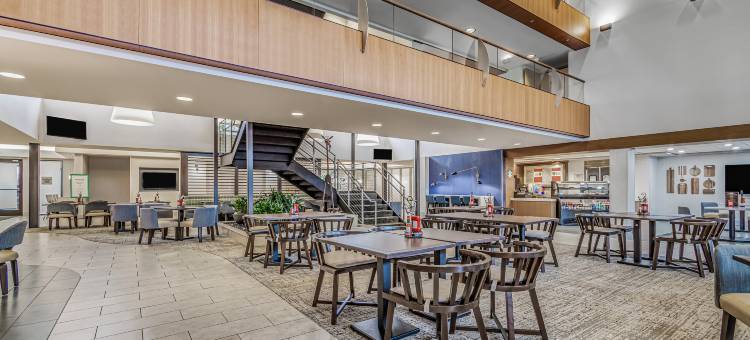 底特律都会机场希尔顿安泊酒店(Embassy Suites by Hilton Detroit Metro Airport)图片