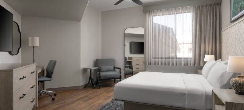 图森帕洛马村希尔顿安泊套房酒店(Embassy Suites by Hilton Tucson Paloma Village)图片