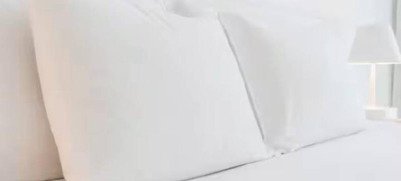 阿拉巴马州约克温德姆戴斯酒店(Days Inn by Wyndham York Alabama)图片