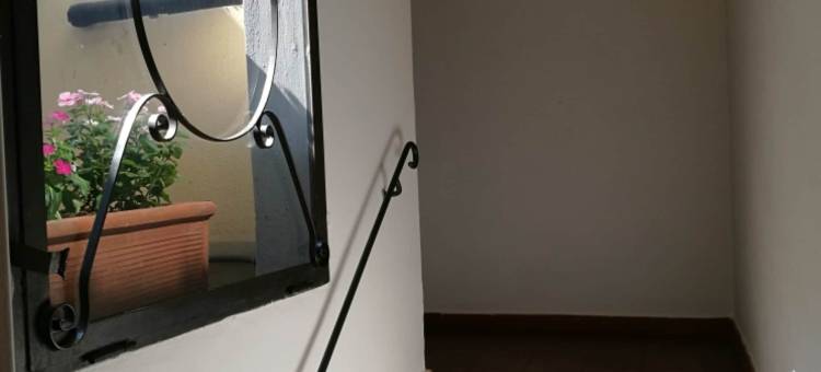 乌菲兹黄金(Aurum Uffizi)图片