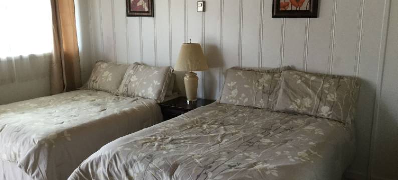 雪松汽车旅馆(Cedars Motel)图片