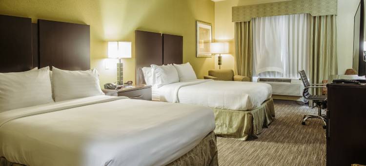 智选假日套房酒店沃勒 by IHG(Holiday Inn Express & Suites Waller - Prairie View)图片