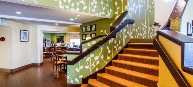 伊克诺旅馆-阿马里洛东(Econo Lodge Amarillo East)图片