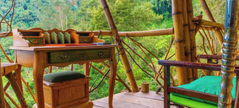 乔阿奇植物保护区(Reserva Botánica Choachí)图片