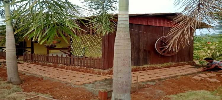 科拉德坎皮斯塔酒店(Campistaan Kolad)图片