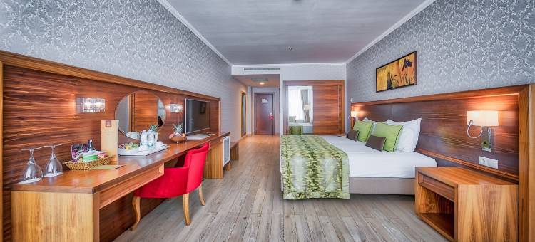 阿塔克斯克集团酒店(Atakosk Group Hotels)图片