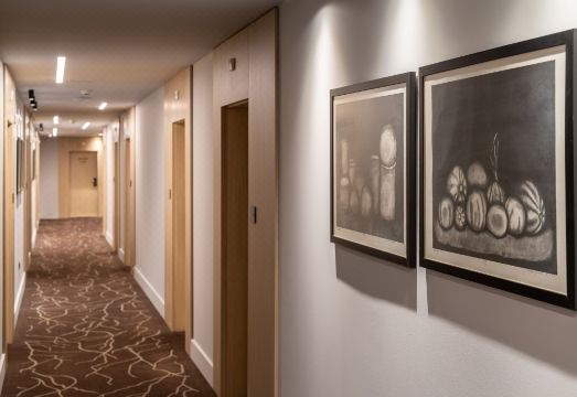 Hotel Vega Sofia Hotel Overview