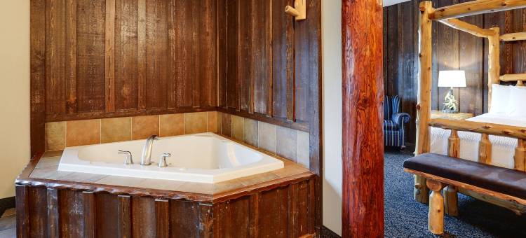 斯托尼溪会议中心酒店 - 苏城(Stoney Creek Hotel Sioux City)图片