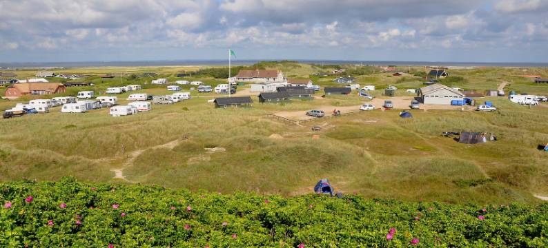 摩斯兰德恩崁酒店(Dancamps Holmsland)图片