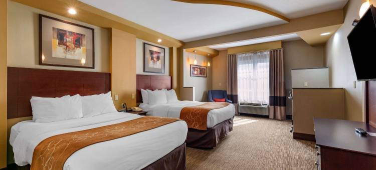 舒适套房酒店-佩里斯堡托莱多南(Comfort Suites Perrysburg - Toledo South)图片