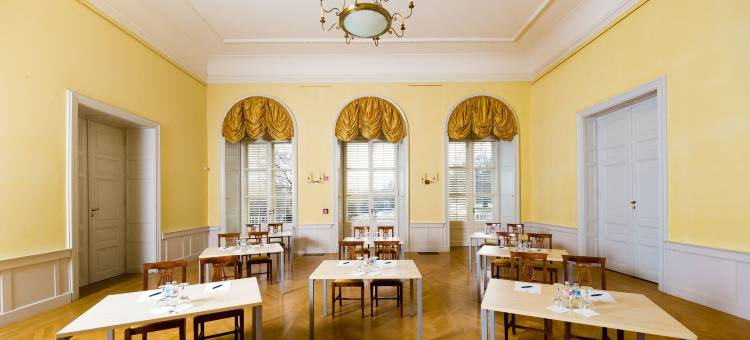 卡洛耶卡斯蒂里酒店及餐厅(Károlyi Kastély Hotel & Restaurant)图片