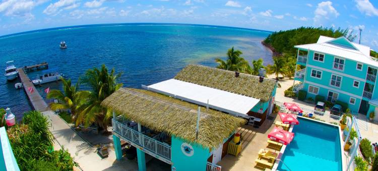 康帕斯波因特潜水度假酒店(Compass Point Dive Resort)图片