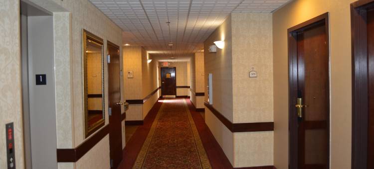 舒适套房酒店(Comfort Inn & Suites)图片