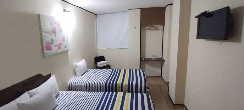 马特奥斯1215酒店(Hotel Mateos 1215)图片