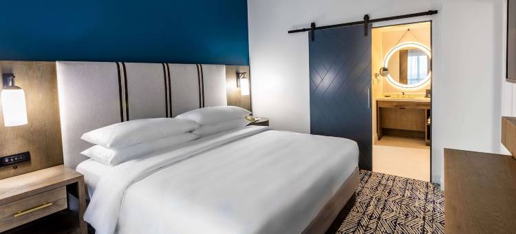 奇夫利休斯顿希尔顿启缤精选酒店(The Chifley Houston, Tapestry Collection by Hilton)图片