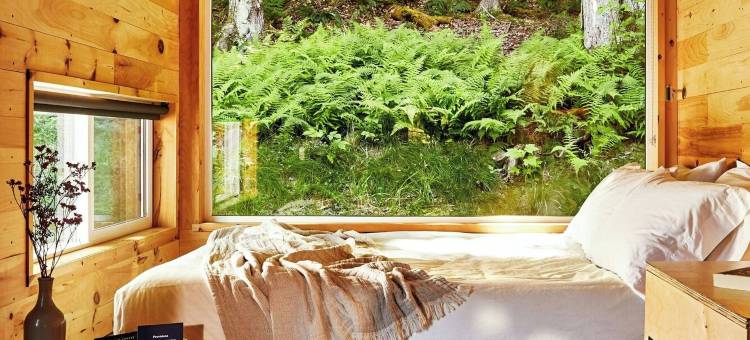 野玫瑰的明信片小屋，万豪旅享家户外系列(Postcard Cabins Wild Rose)图片