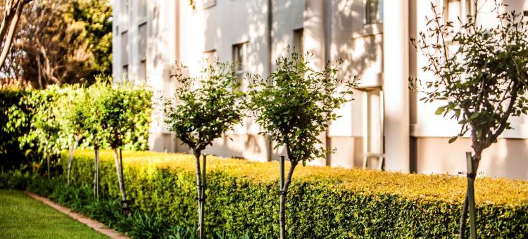 花苑晨桑顿酒店(Garden Court Morningside Sandton)图片