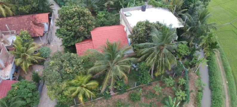 帕迪之家别墅酒店(Rice Field View Home Stay)图片