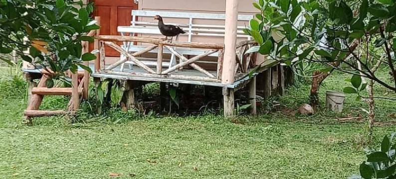 富国岛胡椒农场酒店(Pepper Farm Phu Quoc Bungalow)图片